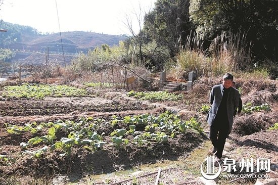 遗址所在地部分被村民开垦成为菜地