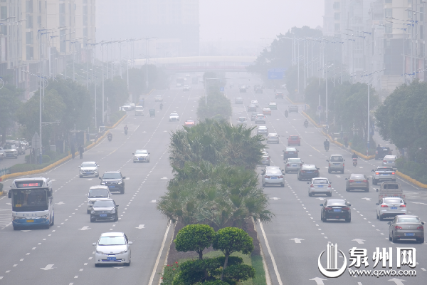 雾中的东海大街