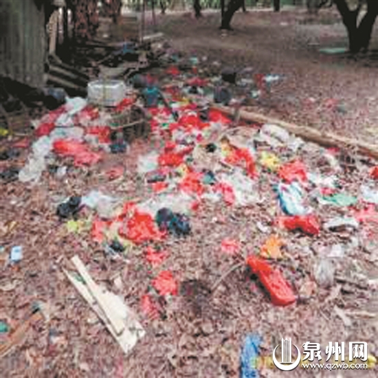 鲤城区海滨街道段卫生死角