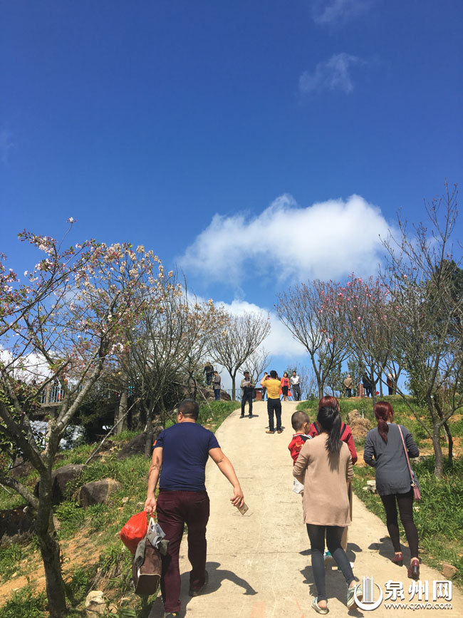 游客在香草世界风景旅游区赏花游玩