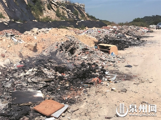 垃圾堆绵延路边，有的还被焚烧过。