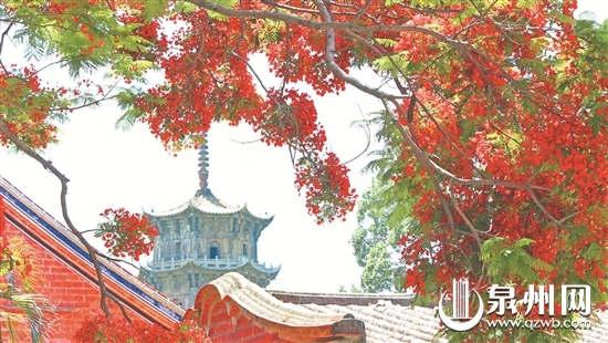 五月就如此炎热 七八月怎了得？