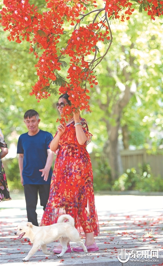 五月就如此炎热 七八月怎了得？