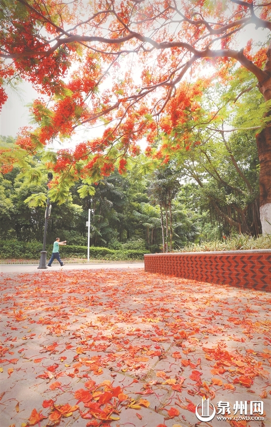 五月就如此炎热 七八月怎了得？