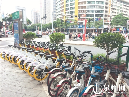新电踏车投放后，我市街头共享车辆进一步增多。 