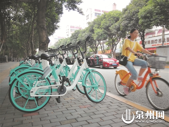 在西湖周边出现的青桔单车 