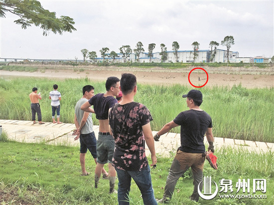 一精神异常男子殴打八旬阿婆后跳入晋江 一精神异常男子殴打八旬阿婆后跳入晋江