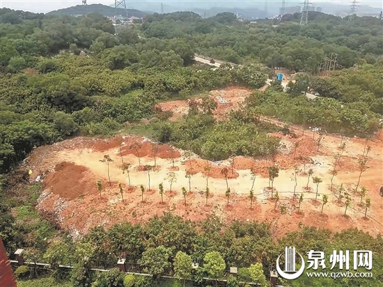 网友提供的图片显示,空地已停止修建停车场,转而补植绿化。 网友提供的图片显示,空地已停止修建停车场,转而补植绿化。