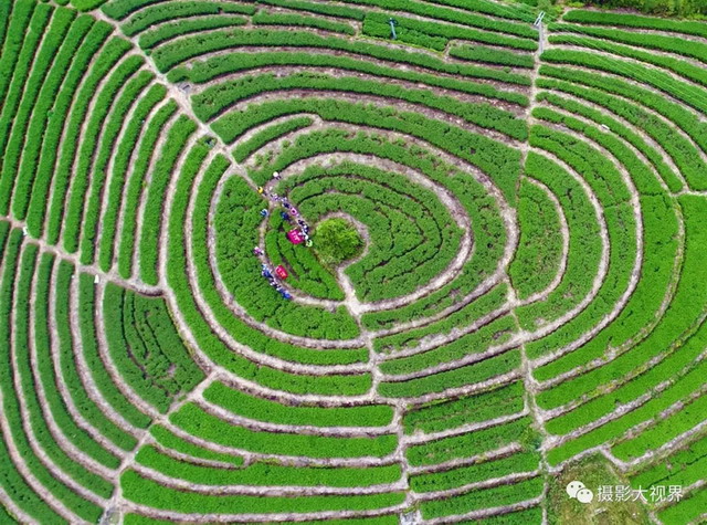 空中看泉州,我惊呆了!原来有这么多神奇的图案…… 空中看泉州,我惊呆了!原来有这么多神奇的图案……