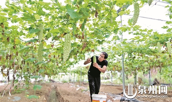 防台风应急响应由Ⅰ级降为Ⅲ级 “玛莉亚”影响结束 今起三天仍有雨 