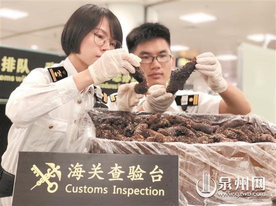 厦门海关查获旅客违规携带49斤海参入境