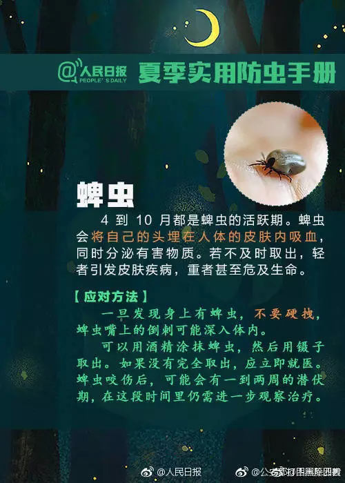 实用防虫手册+急救法