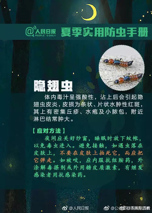 实用防虫手册+急救法