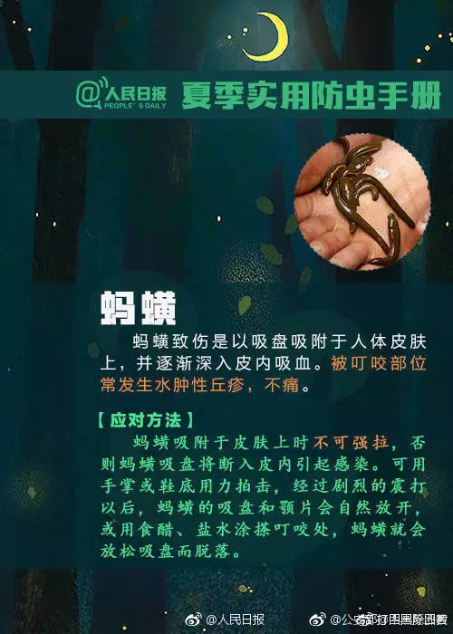 实用防虫手册+急救法