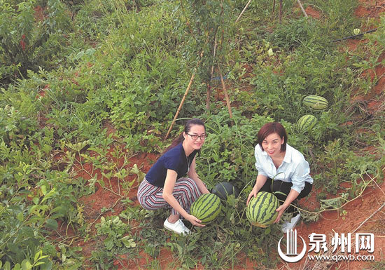 地里的大西瓜，可不是美女们轻易抱得起来的。