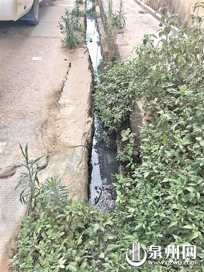 排水沟卫生存在问题