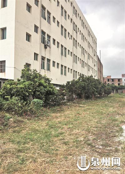 机砖厂内经整治后较为干净