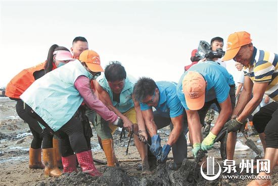 志愿者清理海滩垃圾 志愿者清理海滩垃圾