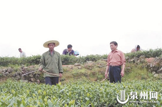 陈其伟(右)与村民在田间忙活 陈其伟(右)与村民在田间忙活