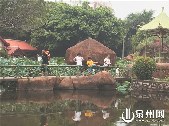 暑期游公园 安全须牢记