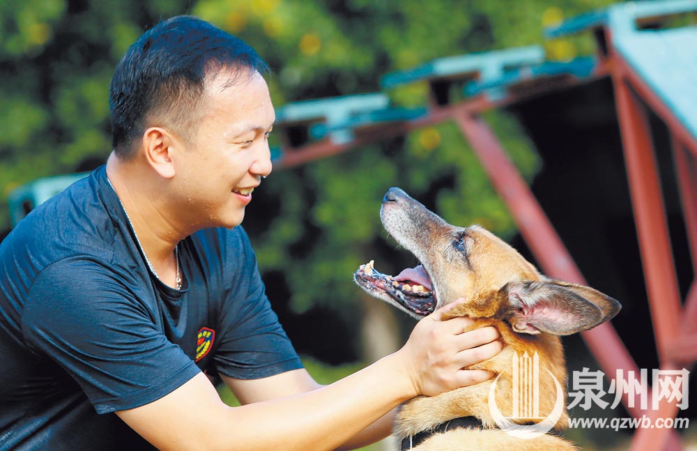 训导员陈曦和警犬梅西有着深厚的感情