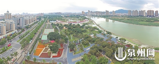 森林城市