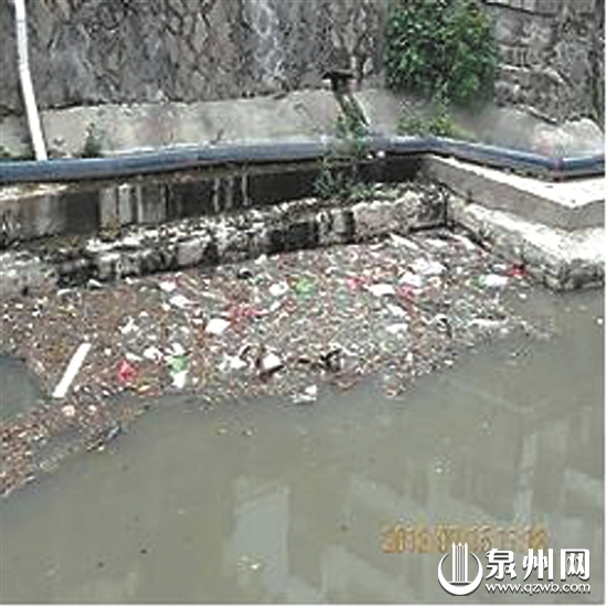 垃圾乱堆+“牛皮癣” 不少河段卫生不理想