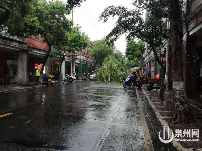 [滚动]雨下个不停 泉州多路段积水 车辆请减速慢行