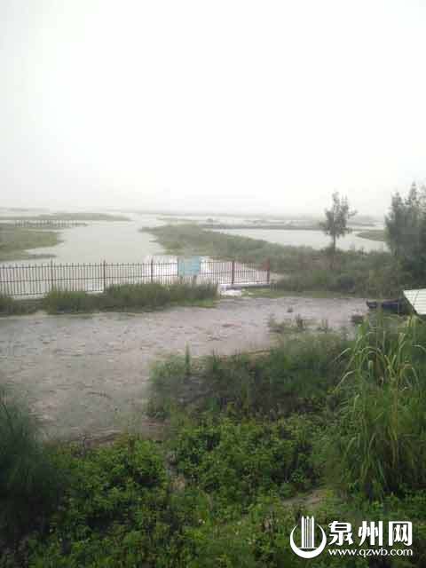 雨下个不停！泉州多路段积水 车辆请减速慢行