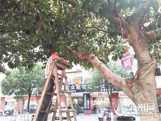 工人在悬挂“小灯笼”公益广告牌 工人在悬挂“小灯笼”公益广告牌