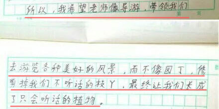 别再吐槽自己写的是“小学生作文”了,这届小学生的文采比你想的要优秀 别再吐槽自己写的是“小学生作文”了,这届小学生的文采比你想的要优秀