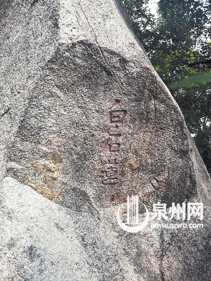 “白石莲”石刻