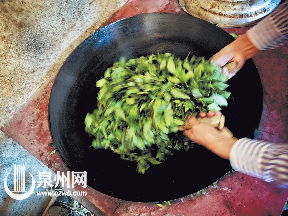 每一道工序都能感受到茶叶的芬芳