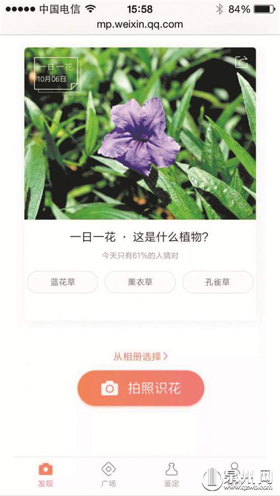 刷脸进门拍照识花语音导游 黑科技带你游遍清源山