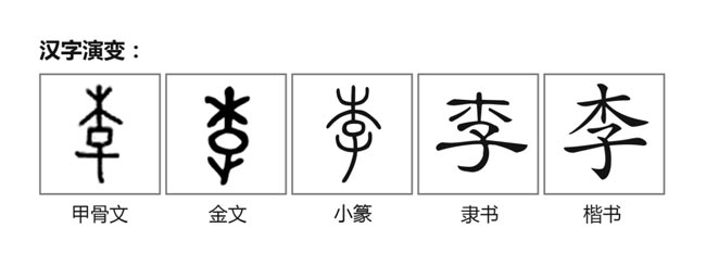 泉州排名前十的姓氏,有你吗?