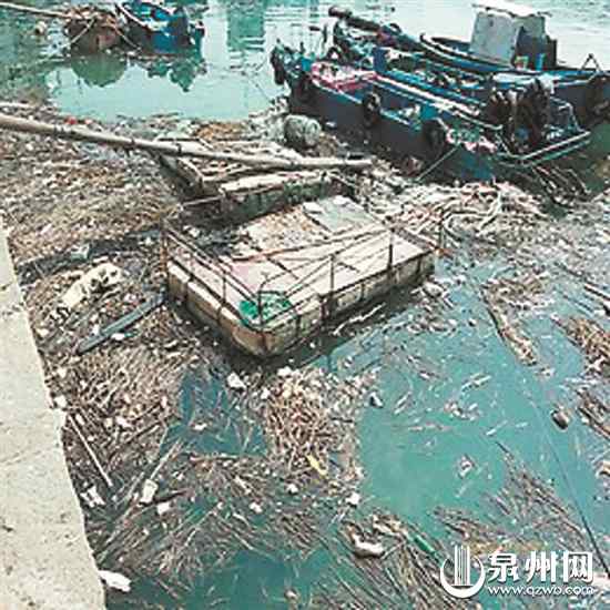 南安市石井镇段水面垃圾不少