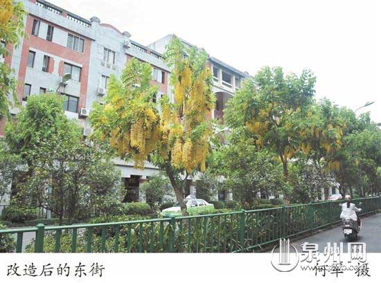 “养路”四十载 看古城“血管”大升级