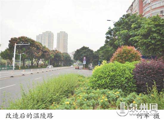 “养路”四十载 看古城“血管”大升级
