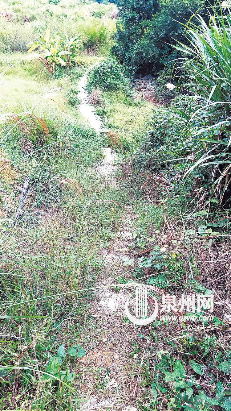 古驿道依稀可辨 古驿道依稀可辨