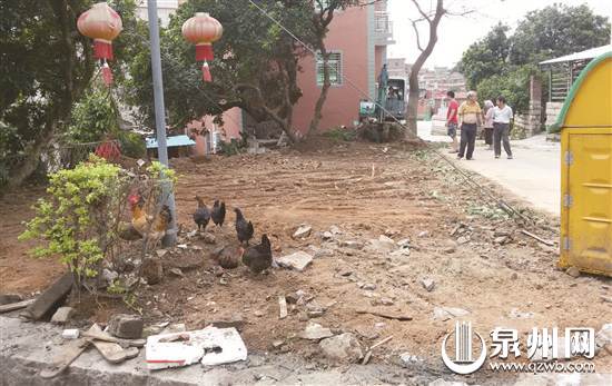 “社区营造”点亮老旧小区