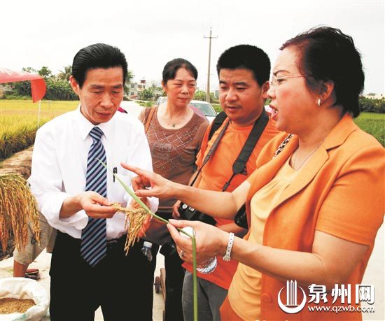 2012年，颜章根(左一）陈丽春（右一）伉俪在海南三亚超级优质水稻验收现场。（祥业 供图）
