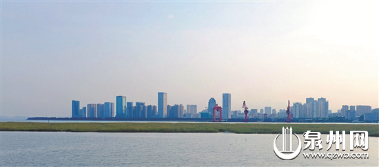 　　2018年8月拍摄的泉州东海片区，鳞次栉比的高楼成为新的城市风景线。（潘登/摄）
