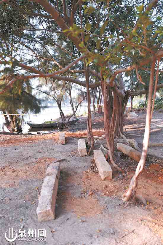 百崎湖生态连绵带建设突出对原生态的保护