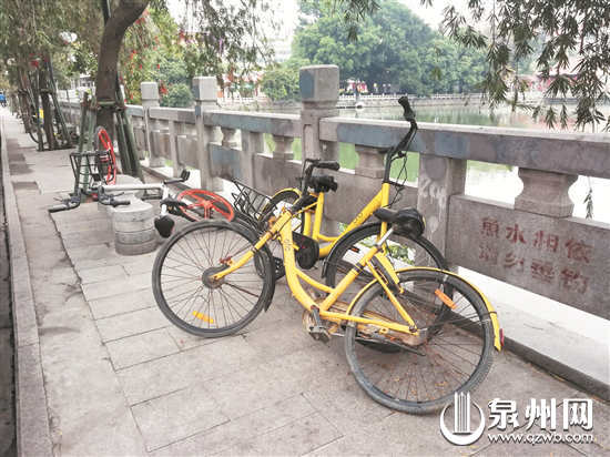 市区百宜巷乱停放的共享单车 （张九强 摄）