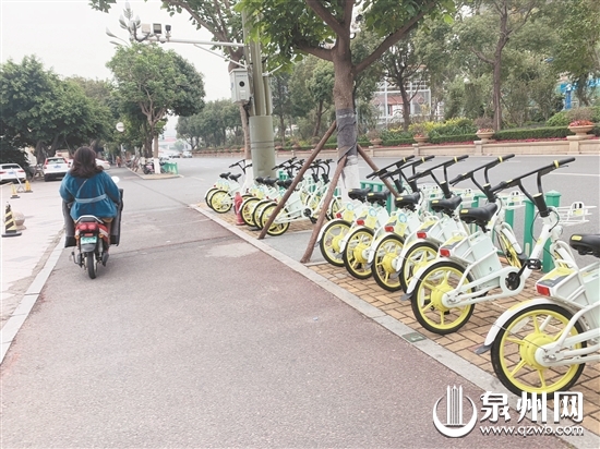 “街兔电单车”刚试运营即被喊停