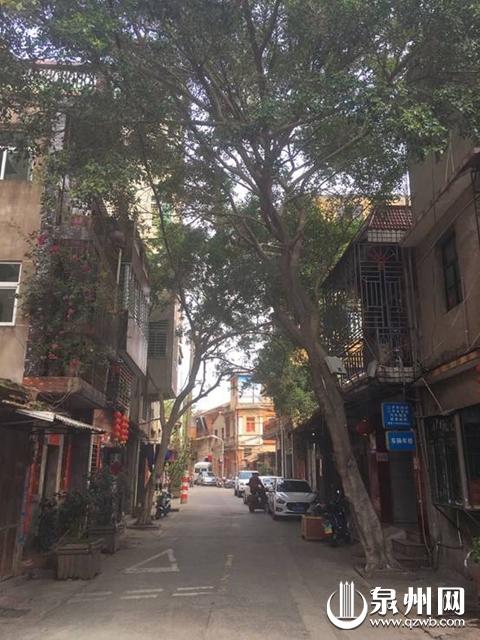 泉州市鲤城区万寿路