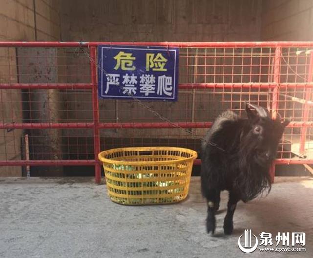 泉州市鲤城区万寿路