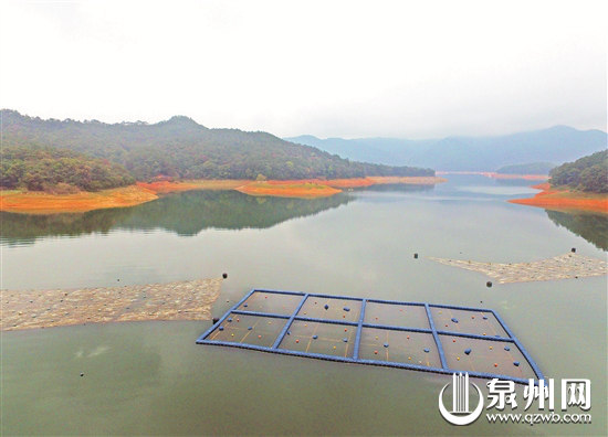山美水库实施生态修复科技示范工程，图为浅层生物固定床，与其他设备一起运行后，将有效修复新营湾水域生态环境。 （陈小阳 摄）