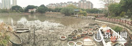 荷花池塘水已抽干,正在围堰设计“七星拱月”造型。 荷花池塘水已抽干,正在围堰设计“七星拱月”造型。