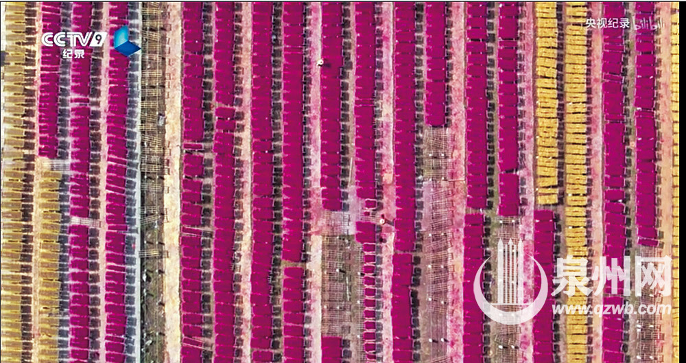 节目预告中的永春制香场景（视频截图）